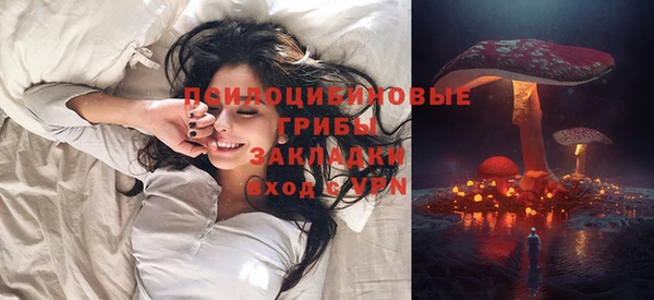 СК Горнозаводск