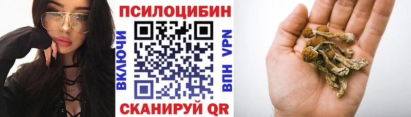 Галлюциногенные грибы Psilocybe Суджа