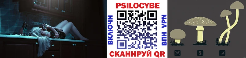 Купить  Суджа  Псилоцибиновые грибы Cubensis 